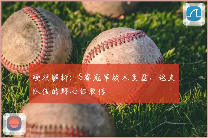 硬核解析：S赛冠军战术复盘，这支队伍的野心你敢信